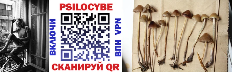 Галлюциногенные грибы MAGIC MUSHROOMS  Ардатов 