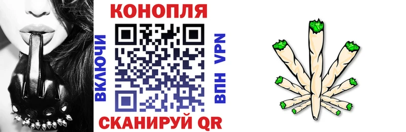 Бошки марихуана White Widow  как найти наркотики  кракен рабочий сайт  Ардатов 